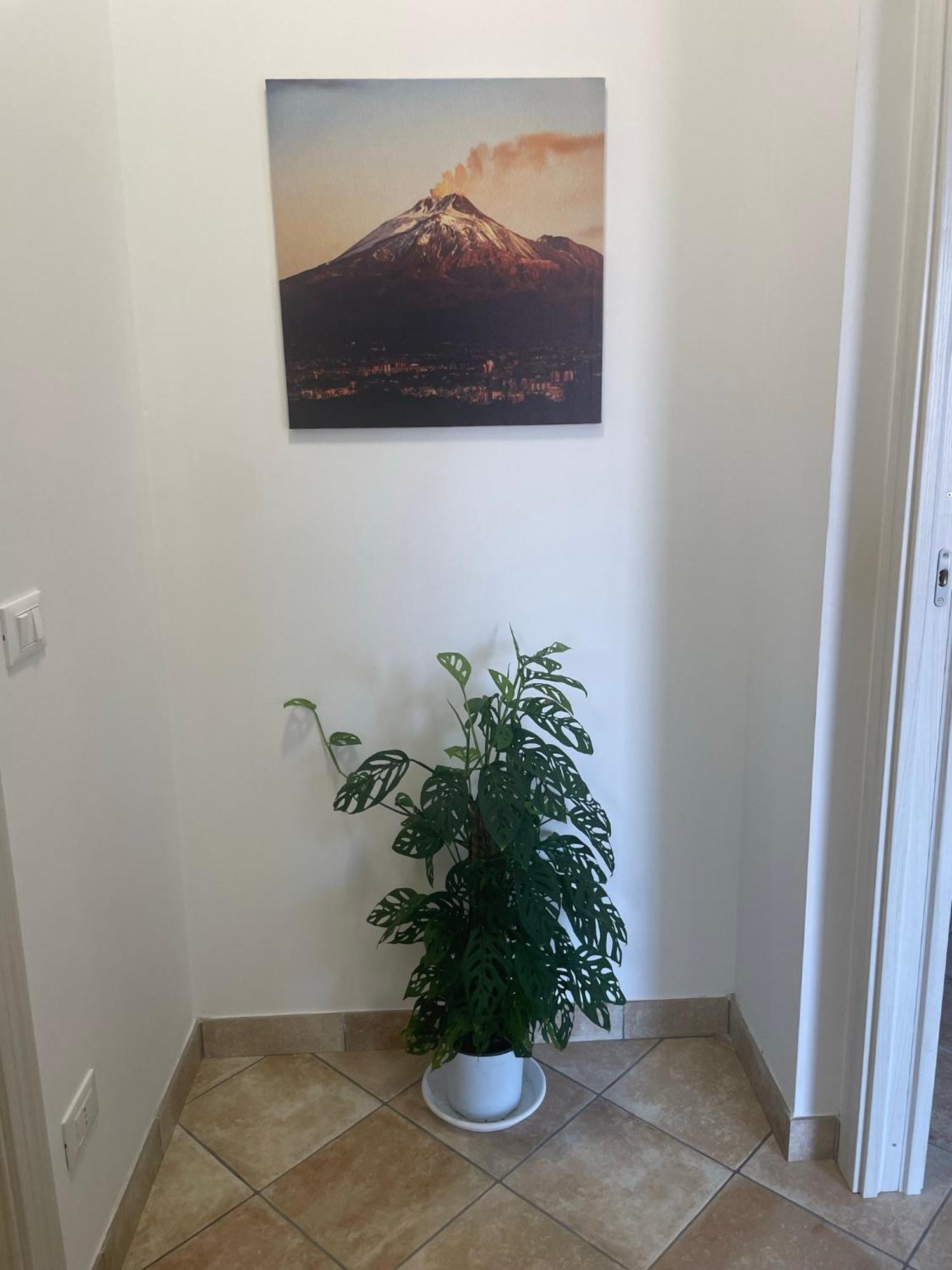 Maison De Cheeramie - Tourist Apartments Tra Mare E Etna Mascali Zewnętrze zdjęcie